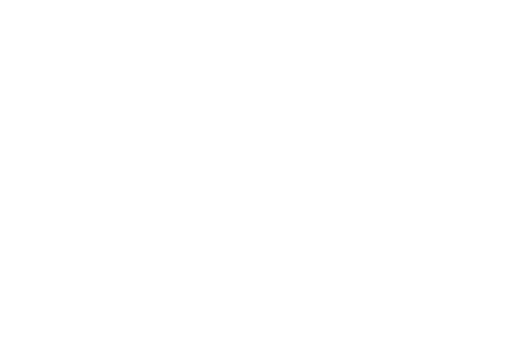 11 MT Lattice Pole (South Type 1)